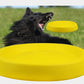 Pet Dogs Throwing Plastic Toys