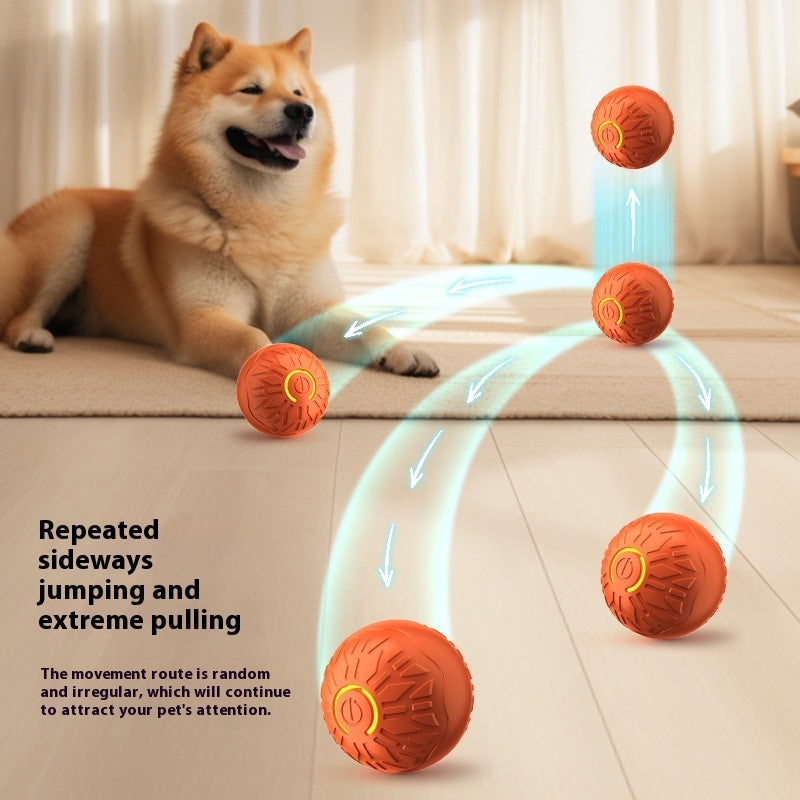Pet Toys